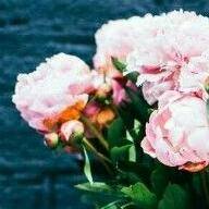 WANTED FOR MNC 7639464989