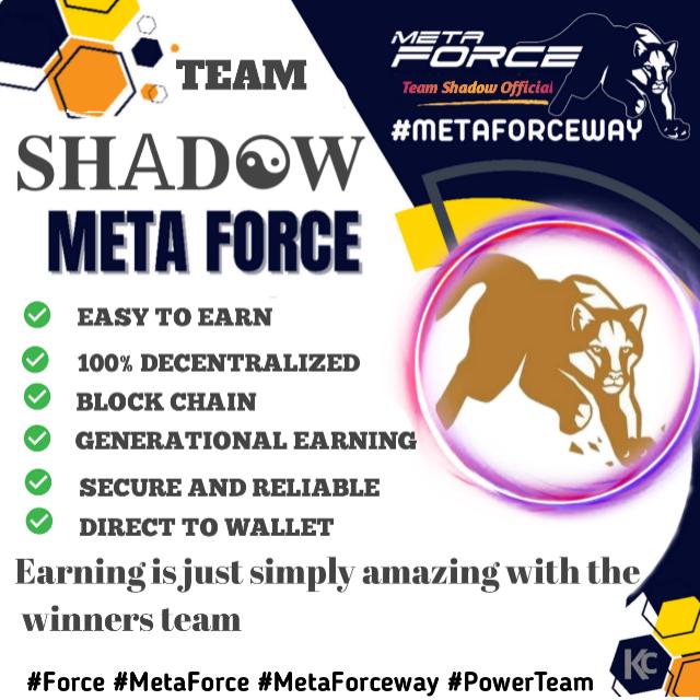 ???? ?????                           ᴛᴇᴀᴍ ꜱʜᴀᴅᴏᴡ ᴏꜰꜰɪᴄɪᴀʟ