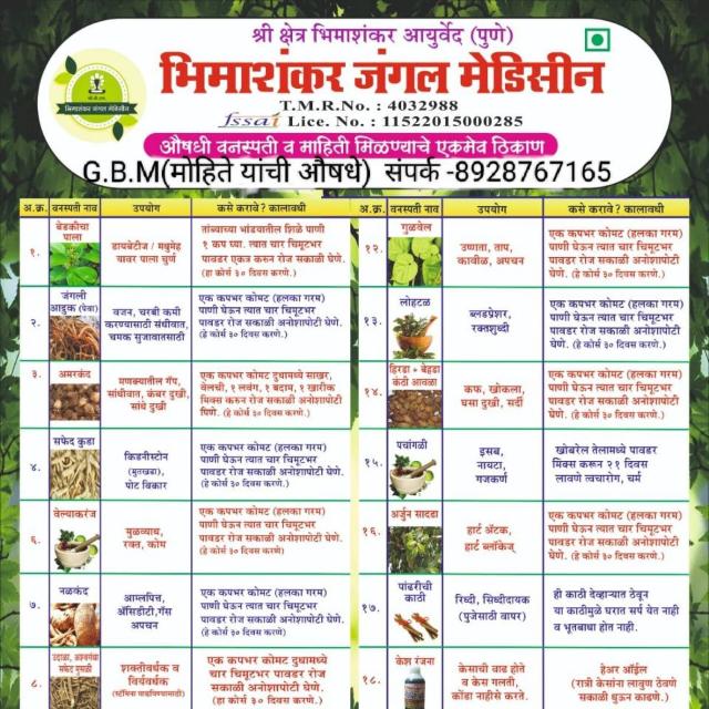 Bhimashankar Medicine87