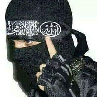 Everything is Free ??