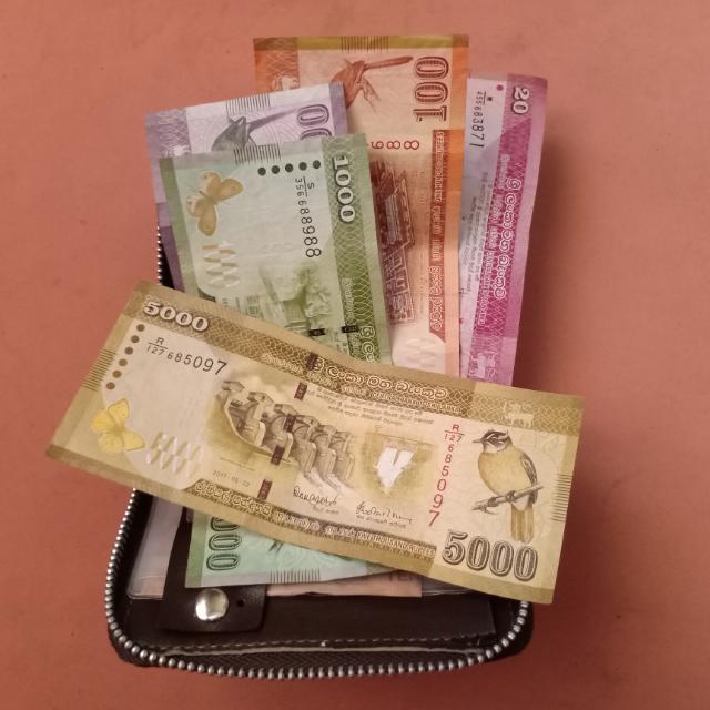 අමතර ආදායමක් ඕනි අය....