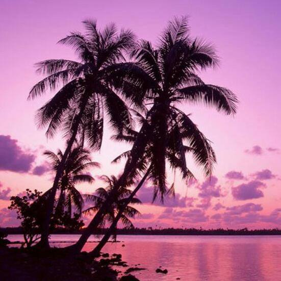 भाषणकला  Group