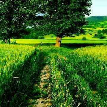 ખેતીવાડી પશુપાલન માહિતી1
