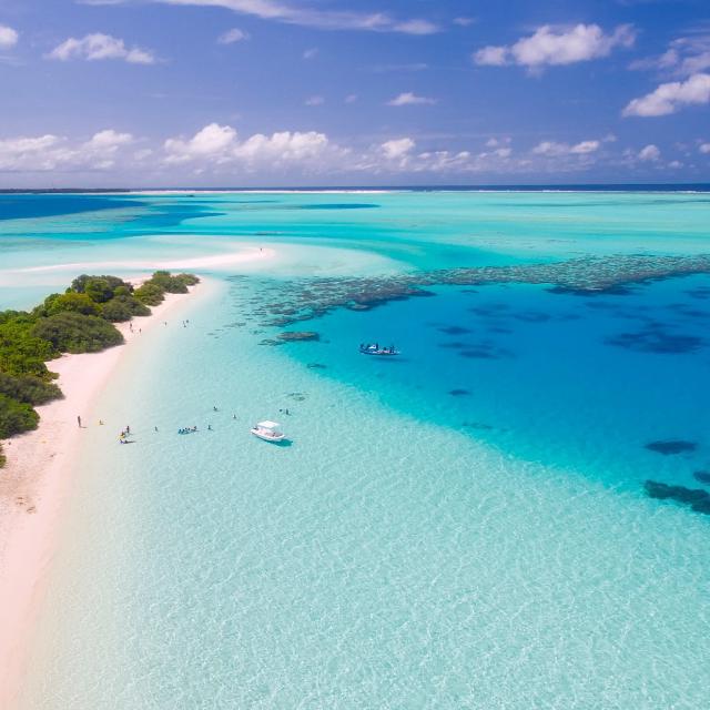 Cheap flight tickets booking
