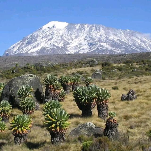 🌴Tour🏖️ quider🌲