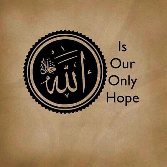 ⭐?? ??????? ? ??????? ?