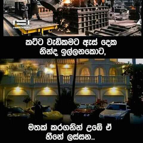 10 /11 සිංහල s & D අපි ???️