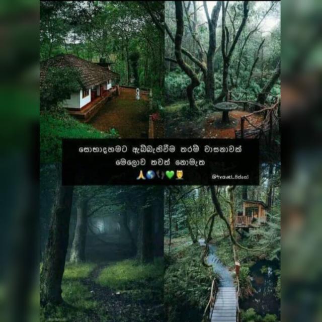 ???? ?????? ?????? ??️??