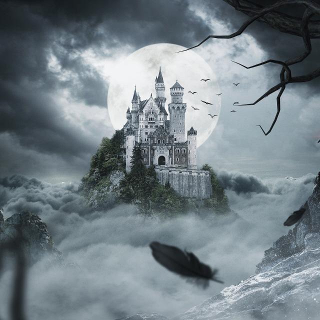 "☄️Free Online"??