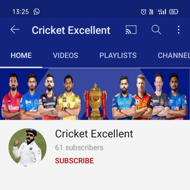 CSK fan group