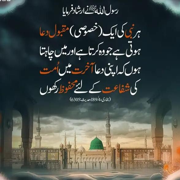 Islamec group