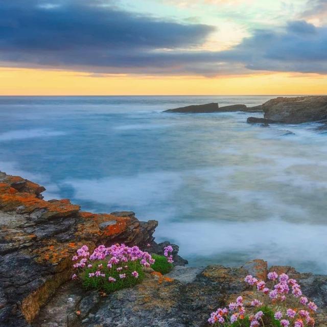 Friendly conversation?