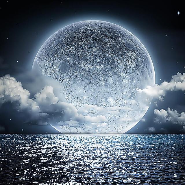 Midnight masala ❗️❗️❗️