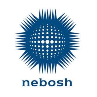 NEBOSH (IG1 & IG2) & IDip past papers solution