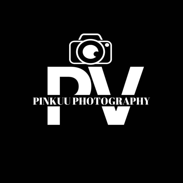 pvstudio21
