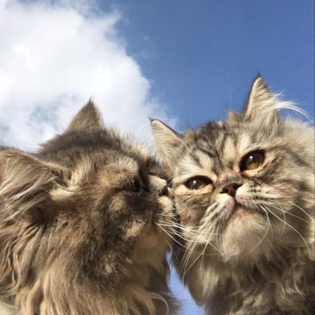 ″⁹⁹⎆??????? ???⍟⁹⁹″