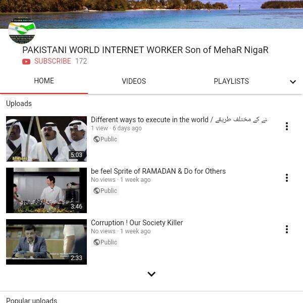 PAKISTANI WORLD INTERNET