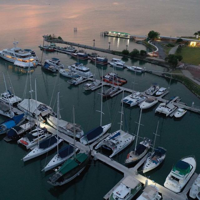 Export import Hub...?️?️