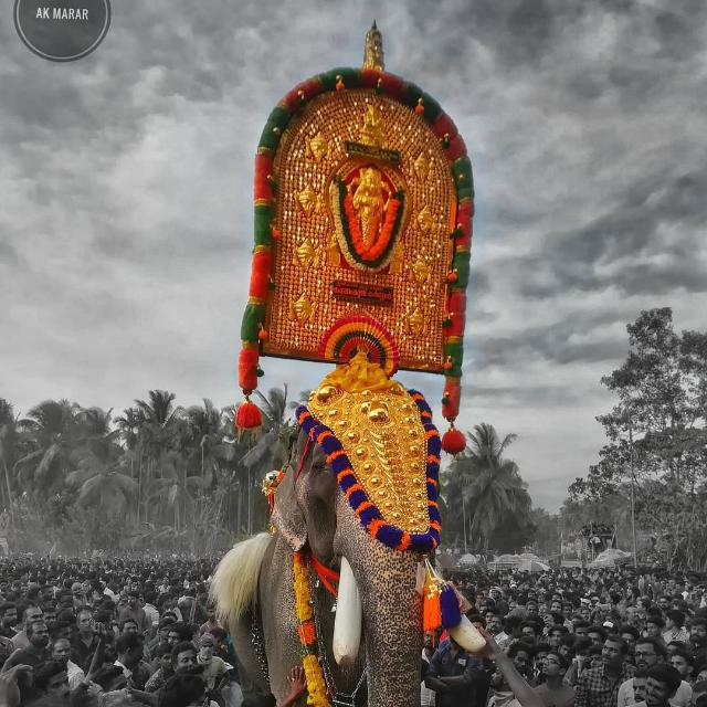 ആന പ്രേമികൾ