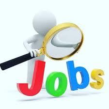 Govt Job Updates