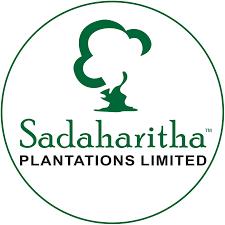 සදාහරිත plantation Limited