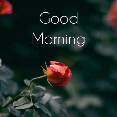 uncles and uncles only