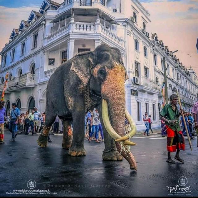 💫🌍කෙල්ලො කොල්ලො❤️❤️‍🔥