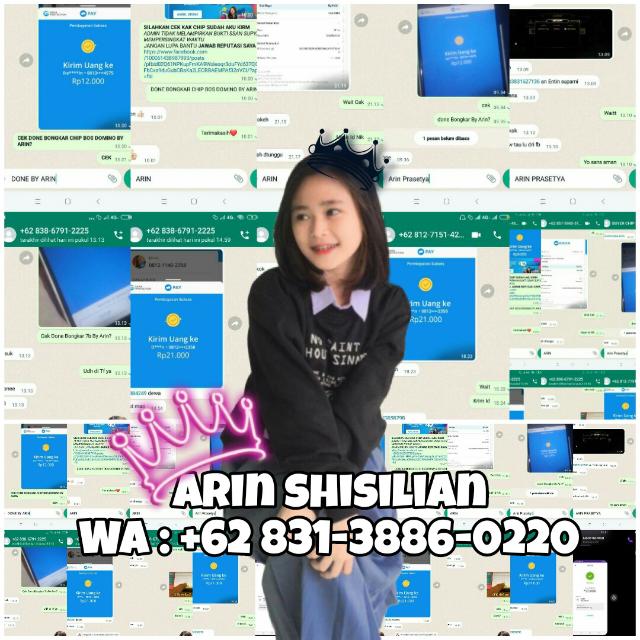 ARINSHOP2