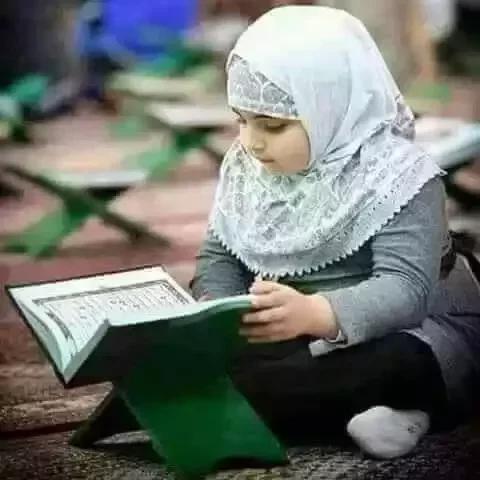 Online Quran Academy 