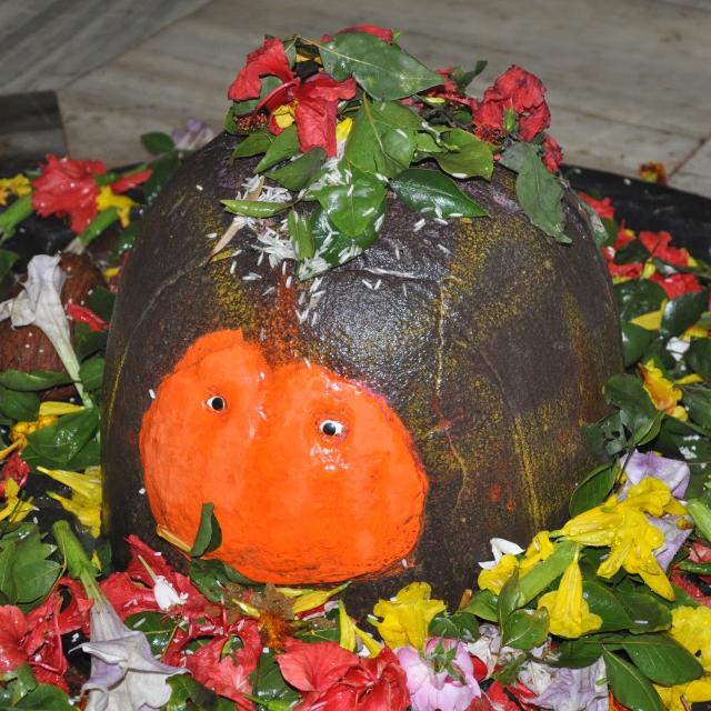 ?Champaran dham group?