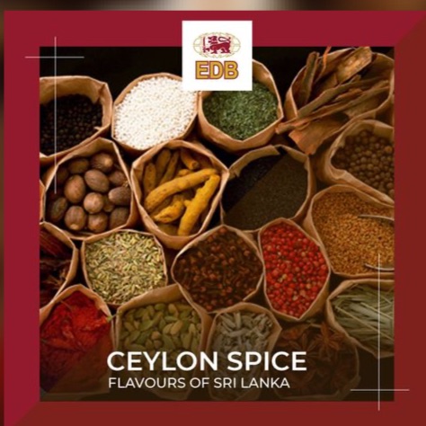 Sri Lankan Spices Export