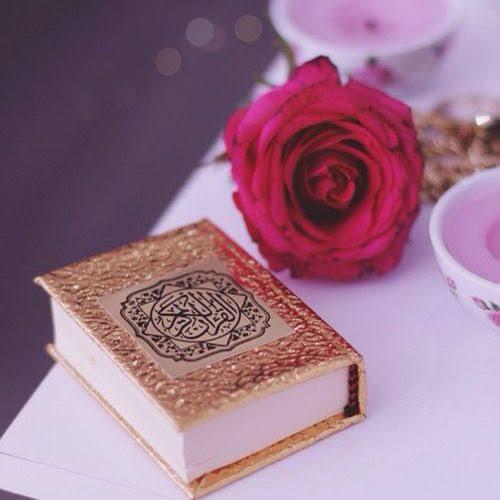 🌻islamic zindagi studio❣️🌼