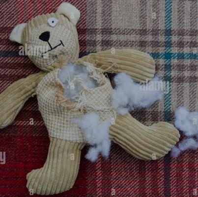 പെണ്ണിന് പകരം പാവയെ പ്രണയിച്ചവർ??