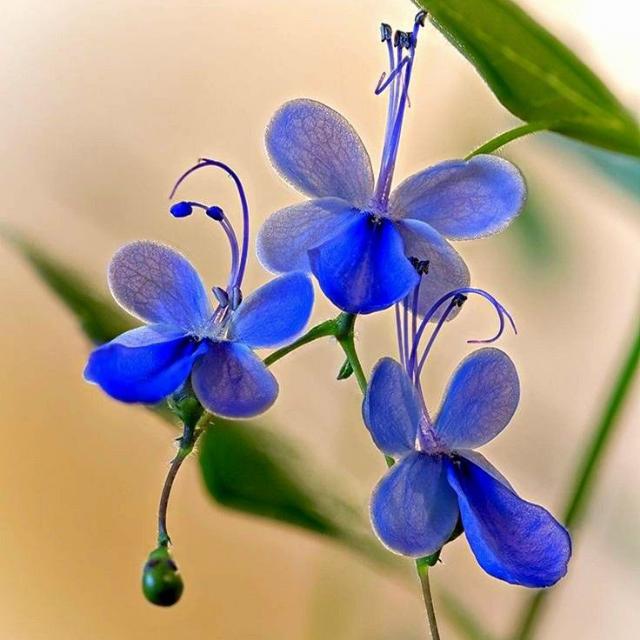 ? ETERNAL4️⃣  VALUES?19/24