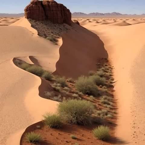 GRUB STOCK FAHMI SHOP 