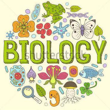 🌲Biology Study Group🌲