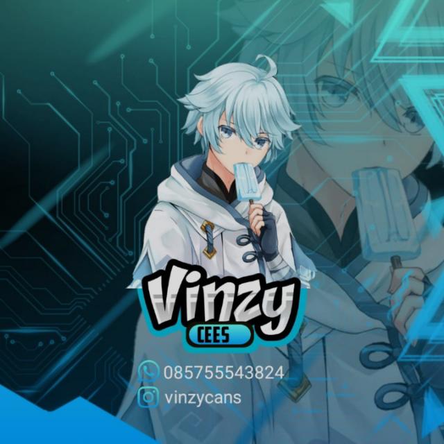 STOCK VINZY#1