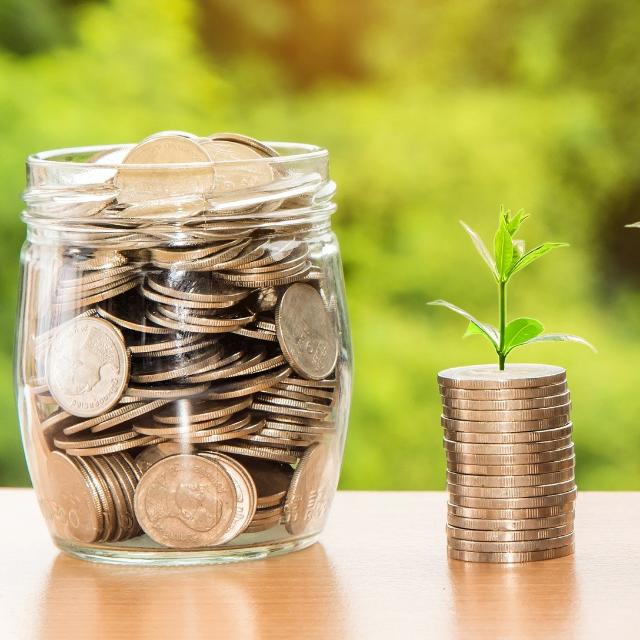 ONLINE EARNING SKILL