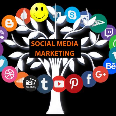  Networking marketing 