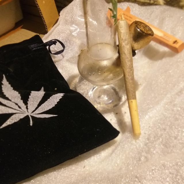 The Squad 2016 no code