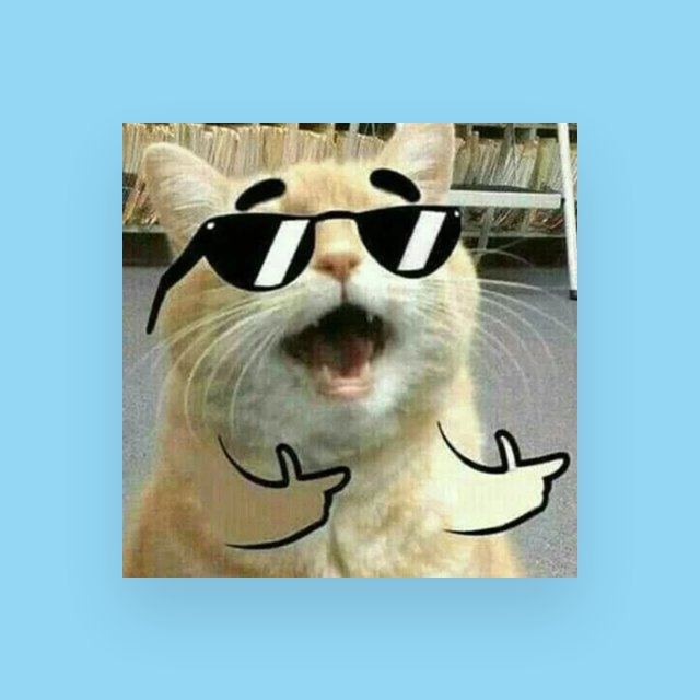 No chats here go out