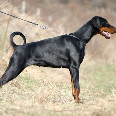 ☯︎☮︎ ???? ???? ?????☮︎☯︎