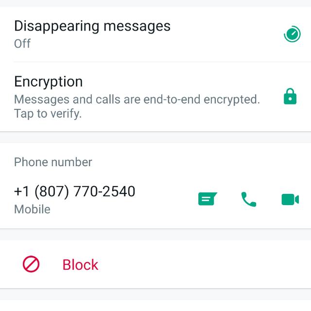 Fake number whatsapp +1