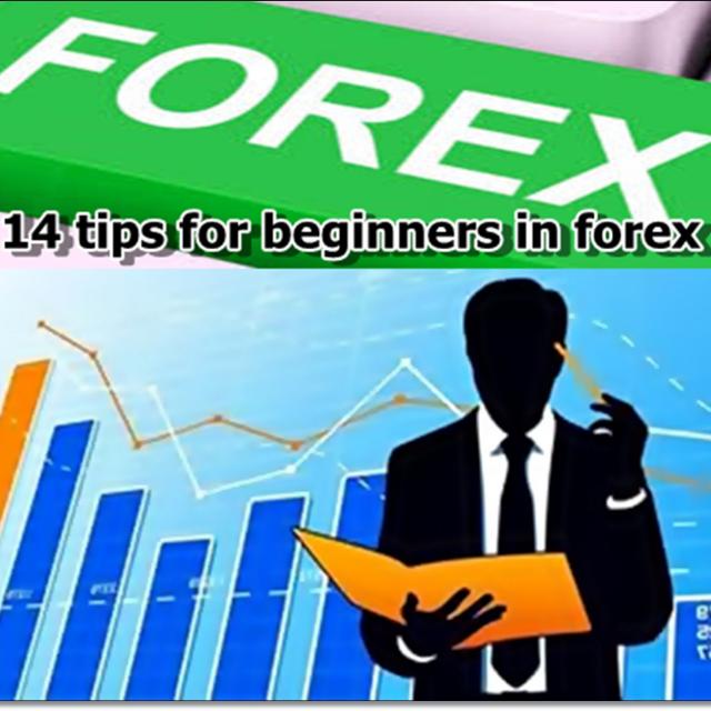 Forex Pro Earn Money