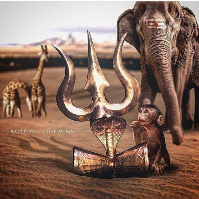 भोले के लाल ?