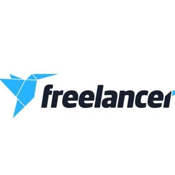 Freelancer earning 