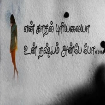 கவிதையின் மழை