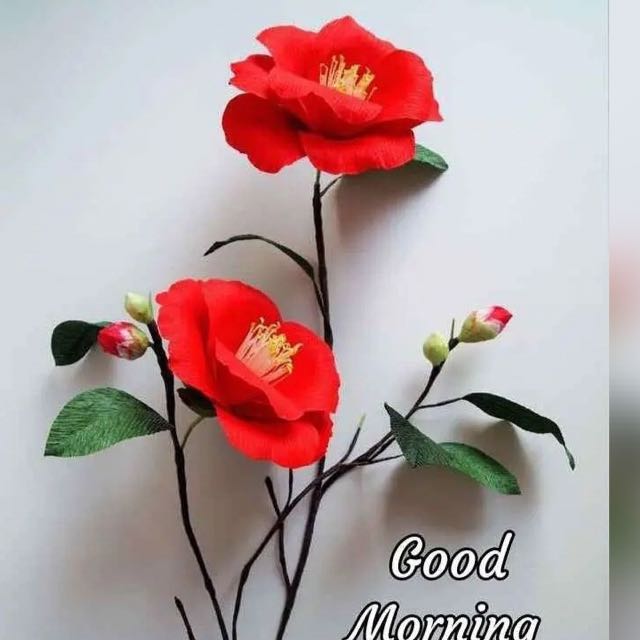 *🌹ये 