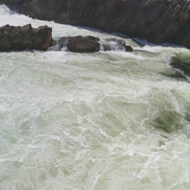 संस्कृति कार्यक्रम