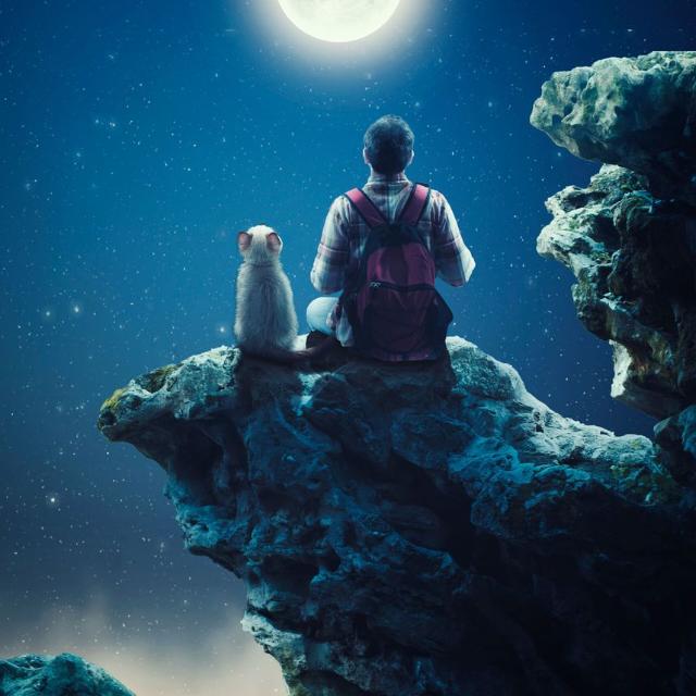 ♥️??? ??? ? ?????? ✨ ????? ?